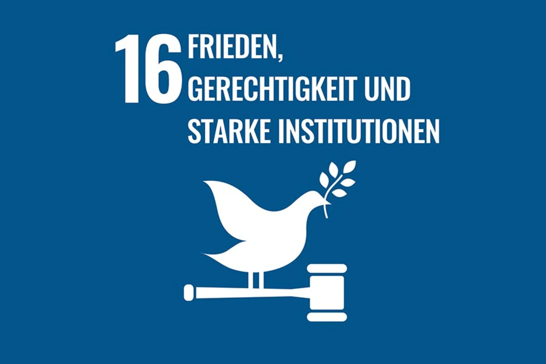 SDG Ziel FRIEDEN, GERECHTIGKEIT UND STARKE INSTITUTIONEN