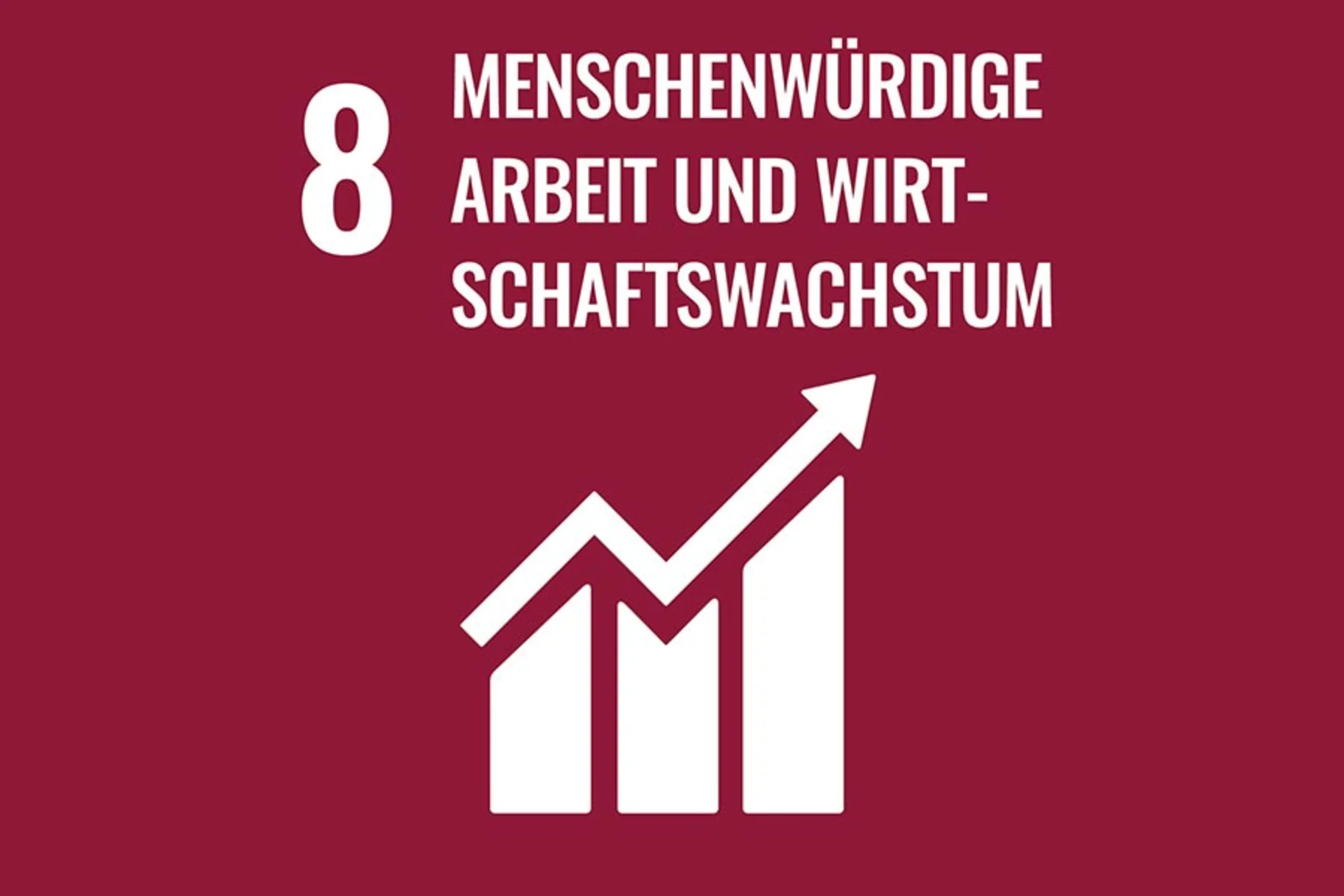 SDG Ziel MENSCHENWÜRDIGE ARBEIT UND WIRTSCHAFTSWACHSTUM
