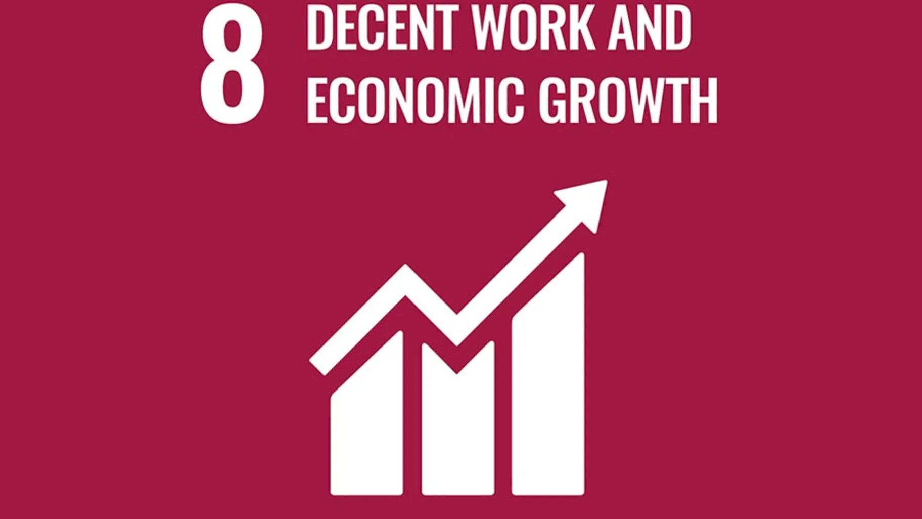 DECENT WORK AND ECONOMIC GROWTH