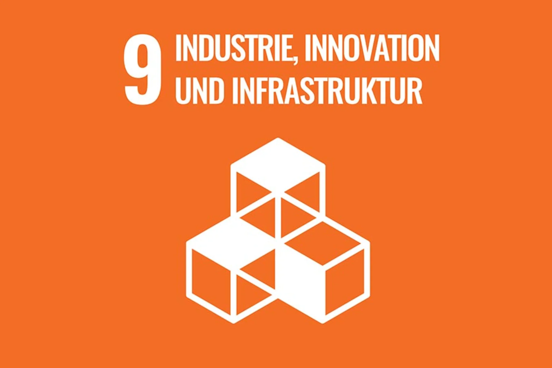 SDG Ziel INDUSTRIE, INNOVATION UND INFRASTRUKTUR
