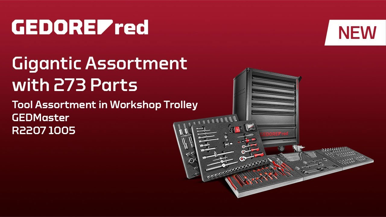 Gigantic Assortment with 273 parts | GEDMaster R22071005 from GEDORE red