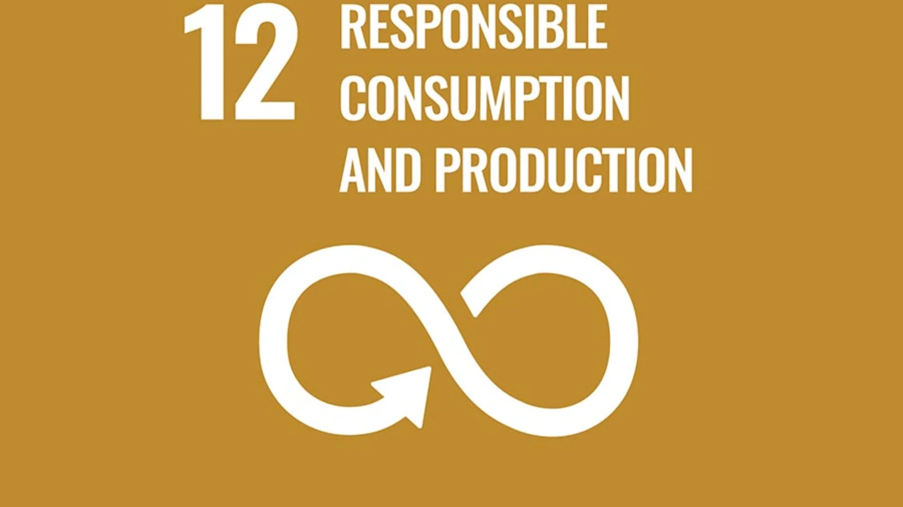 RESPONSIBLE CONSUMPTION AND PRODUCTION