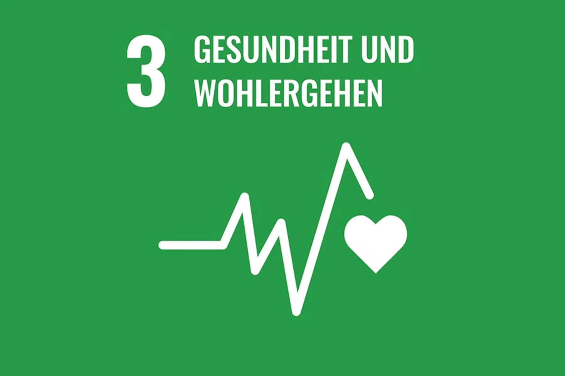 Darstellung der 17 globalen Ziele der Vereinten Nationen 