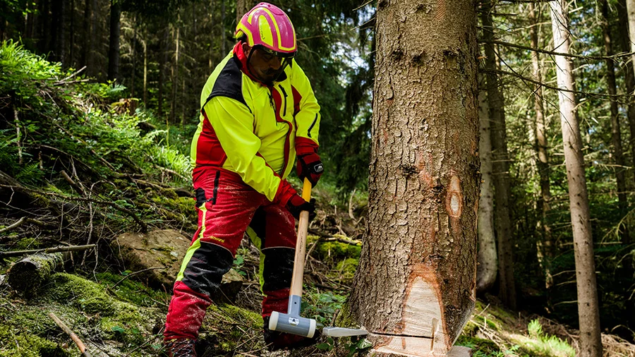 Forstarbeiter treibt einen Keil mit dem OCHSENKOPF Keiltreibhammer ein