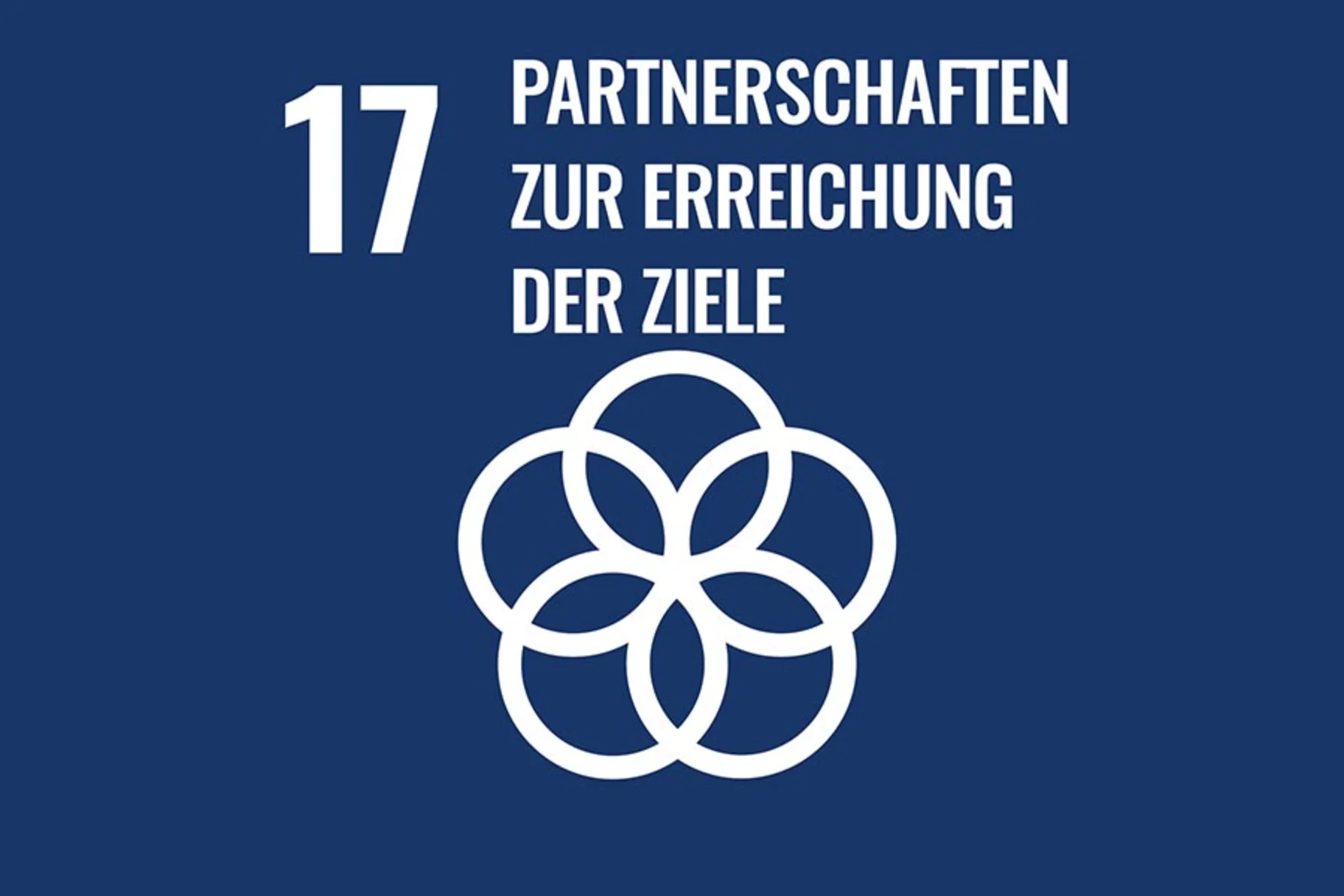 SDG Ziel PARTNERSCHAFTEN ZUR ERREICHUNG DER ZIELE
