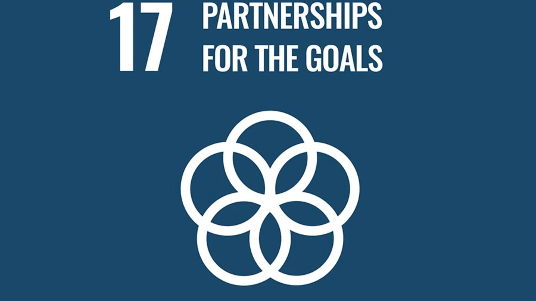 PARTNERSHIPS FOR THE GOALS