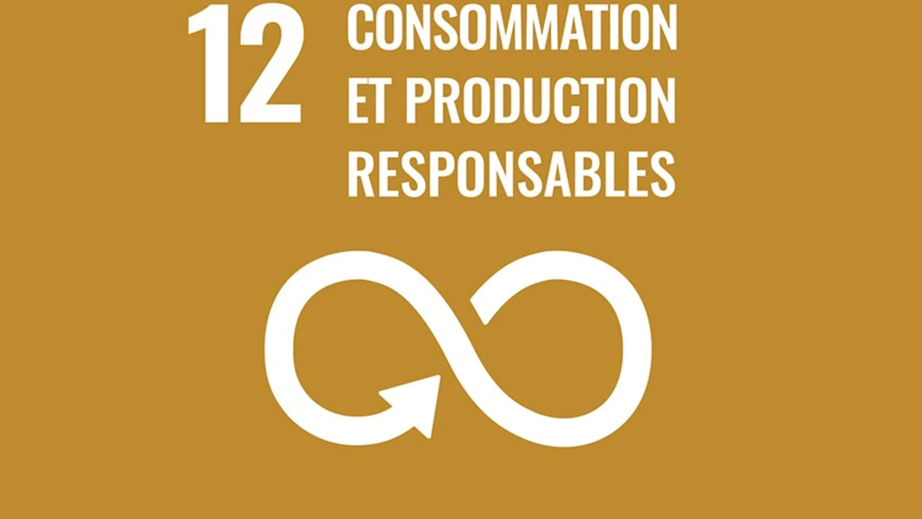 CONSOMMATION ET PRODUCTION RESPONSABLES