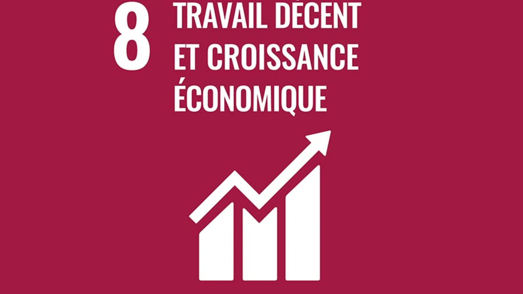 [Translate to Français (France):] TRAVAIL DÉCENT ET CROISSANCE ÉCONOMIQUE