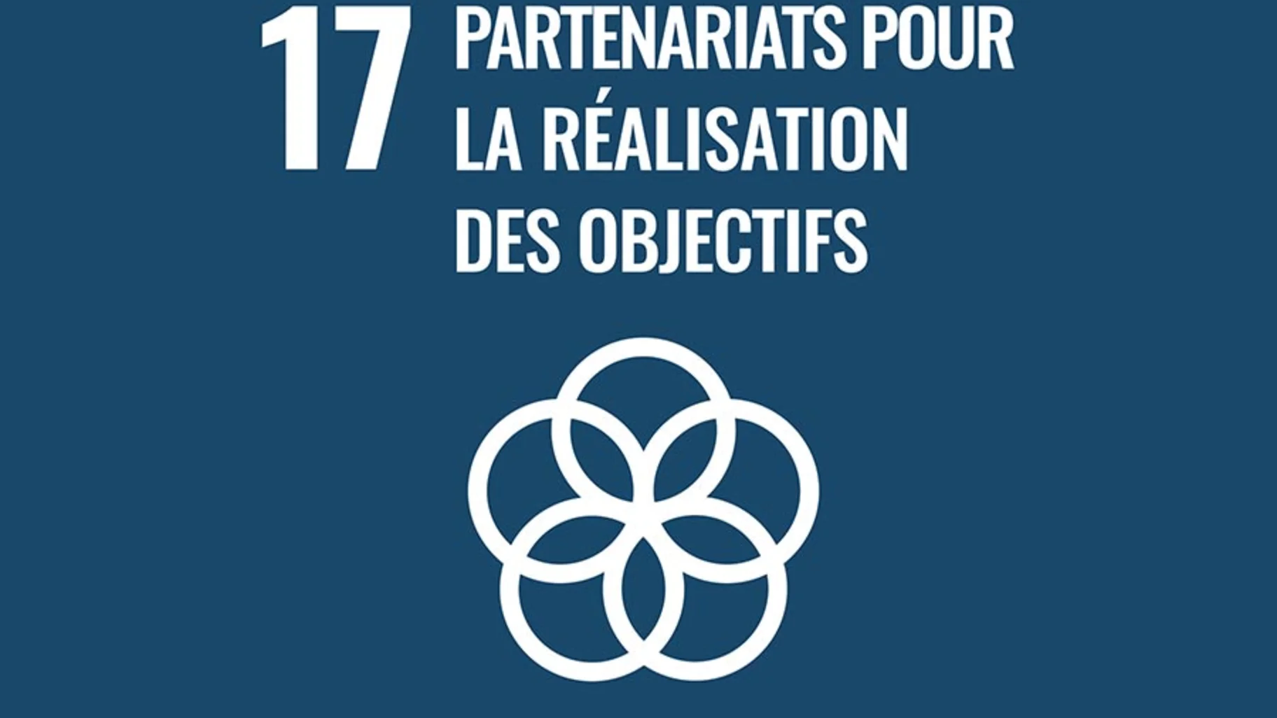 PARTENARIATS POUR LA RÉALISATION DES OBJECTIFS