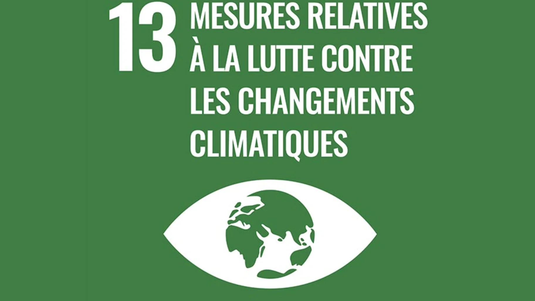 MESURES RELATIVES À LA LUTTE CONTRE LES CHANGEMENTS CLIMATIQUES