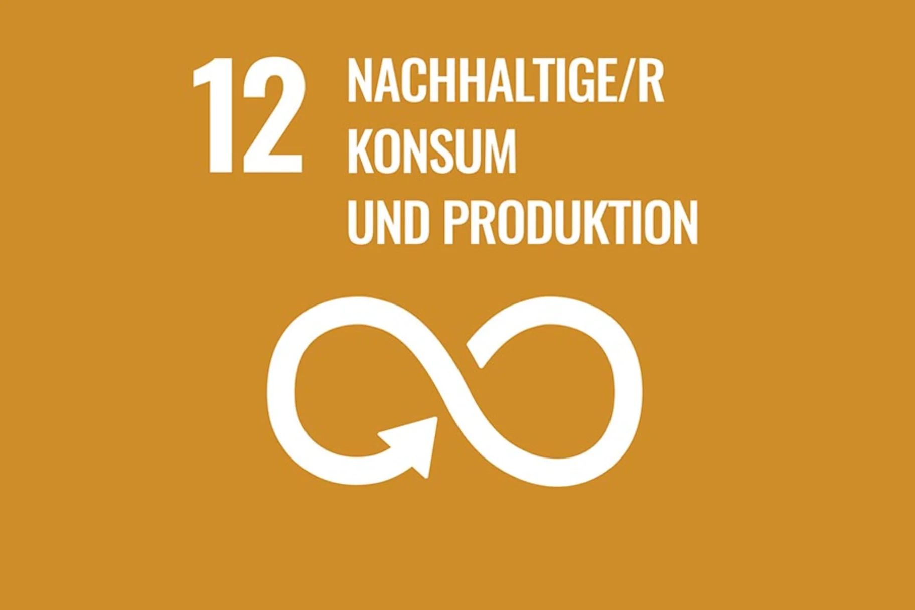 SDG Ziel NACHHALTIGE/R KONSUM UND PRODUKTION