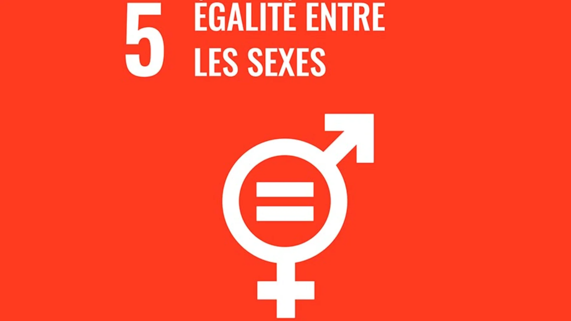 ODD : ÉGALITÉ ENTRE LES SEXES