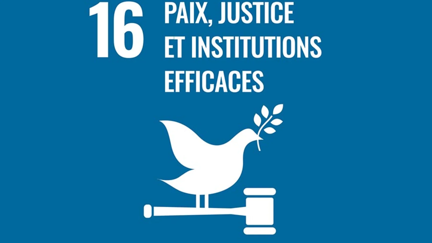 ODD : PAIX, JUSTICE ET INSTITUTIONS EFFICACES